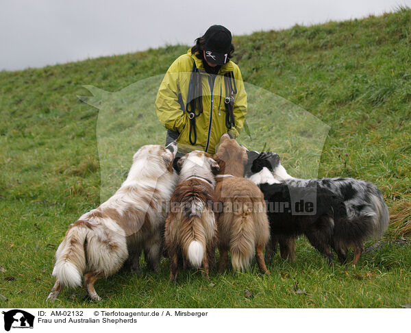 Frau und Australian Shepherds / woman and australian shepherds / AM-02132