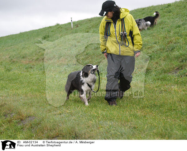 Frau und Australian Shepherd / AM-02134