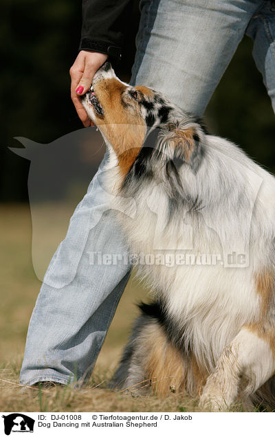 Dog Dancing mit Australian Shepherd / dogdance with Australian Shepherd / DJ-01008