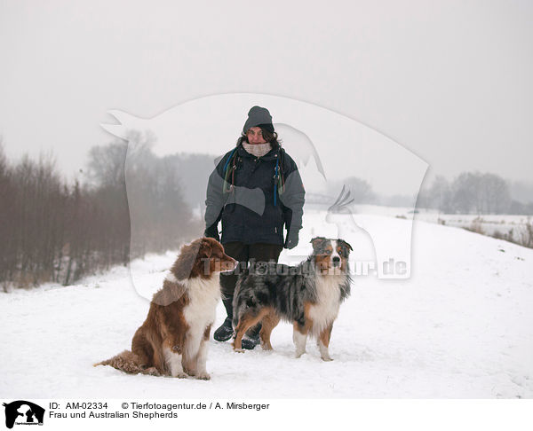 Frau und Australian Shepherds / woman and Australian Shepherds / AM-02334