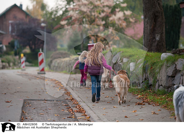 Mdchen mit Australian Shepherds / girls with Australian Shepherds / AM-02806