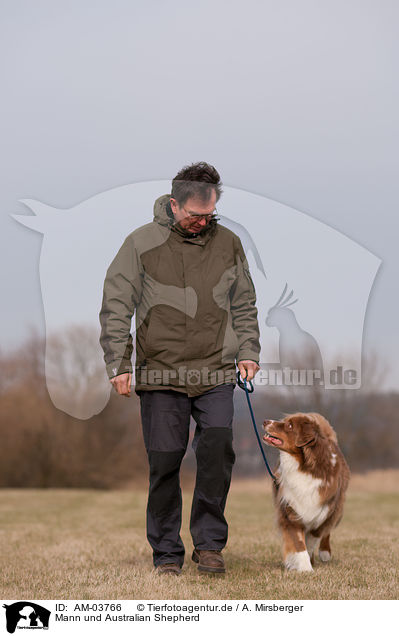 Mann und Australian Shepherd / man and Australian Shepherd / AM-03766