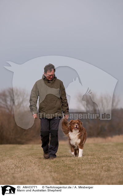 Mann und Australian Shepherd / man and Australian Shepherd / AM-03771