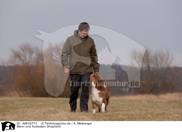 Mann und Australian Shepherd / man and Australian Shepherd / AM-03773