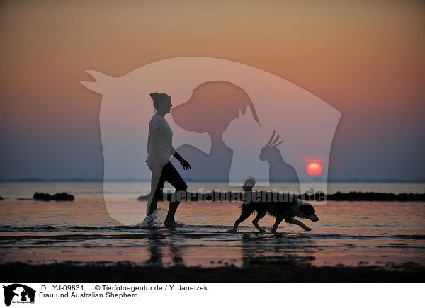 Frau und Australian Shepherd / YJ-09831