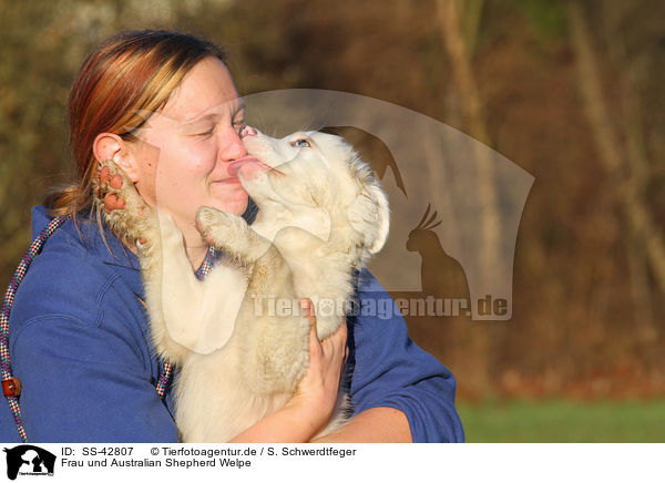 Frau und Australian Shepherd Welpe / woman and Australian Shepherd Puppy / SS-42807