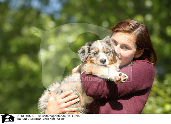 Frau und Australian Shepherd Welpe / woman and Australian Shepherd Puppy / KL-16589