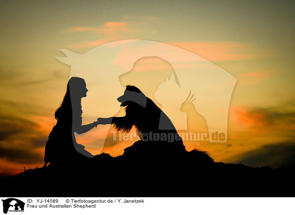 Frau und Australian Shepherd / woman and Australian Shepherd / YJ-14089