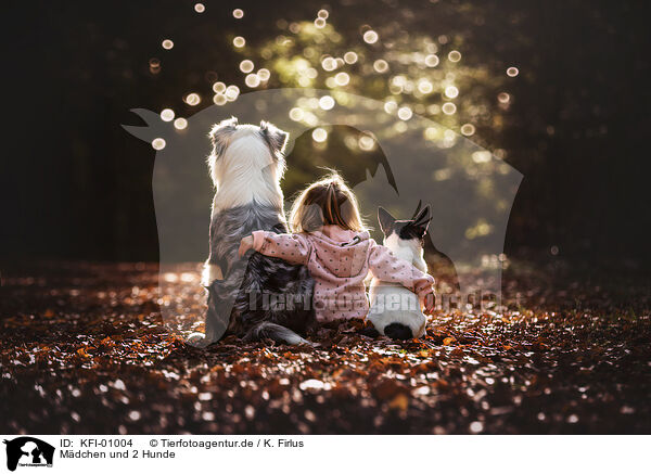 Mdchen und 2 Hunde / girl and 2 dogs / KFI-01004