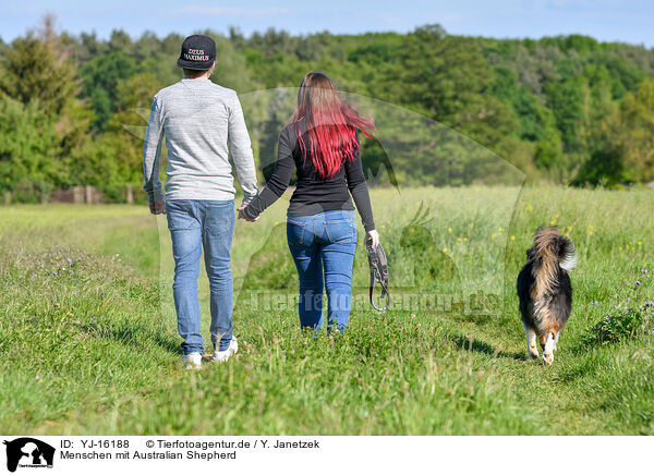 Menschen mit Australian Shepherd / humans with Australian Shepherd / YJ-16188