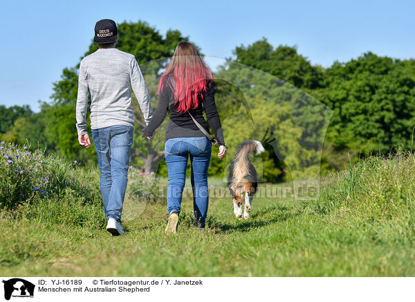 Menschen mit Australian Shepherd / humans with Australian Shepherd / YJ-16189