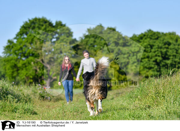 Menschen mit Australian Shepherd / humans with Australian Shepherd / YJ-16190