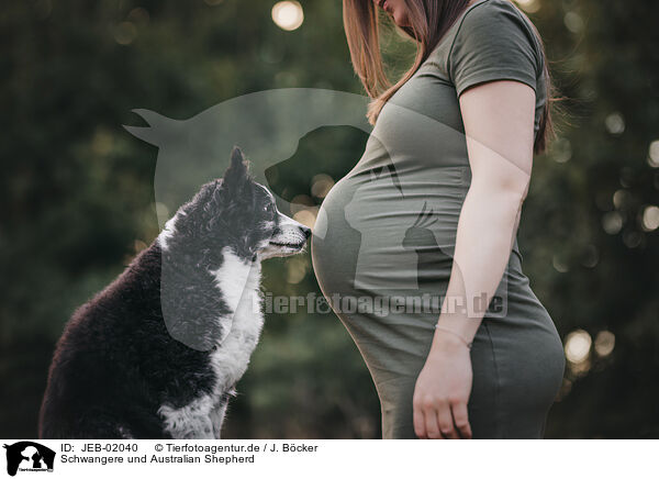 Schwangere und Australian Shepherd / pregnant woman and Australian Shepherd / JEB-02040
