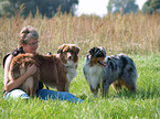 Frau mit Australian Shepherds