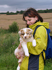 Australian Shepherd Welpe