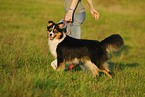 junge Frau mit Australian Shepherd