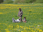 Mann mit Australian Shepherds