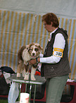 Hundeausstellung