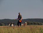 spielende Australian Shepherds