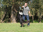 Australian Shepherd beim Dog Dance
