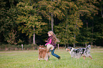 Mdchen mit Australian Shepherds
