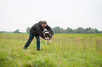 Australian Shepherd zeigt Trick