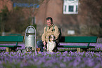 Mann und 2 Australian Shepherds