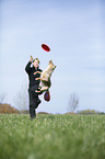 Australian Shepherd spielt Frisbee