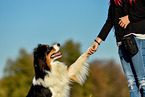 Frau mit Australian Shepherd