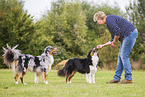 Frau mit Australian Shepherds