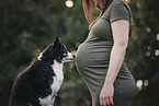 Schwangere und Australian Shepherd