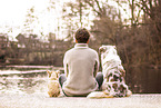 Hunde