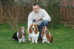 Basset Hounds