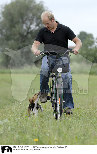 Fahrradfahren mit Hund / AP-01520