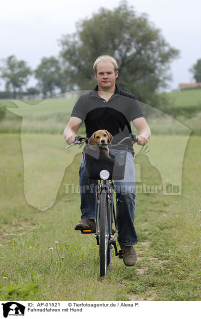 Fahrradfahren mit Hund / biking with dog / AP-01521