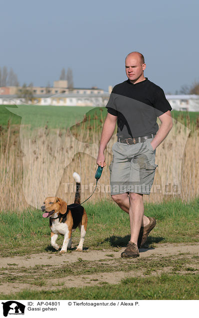 Gassi gehen / walk the dog / AP-04801