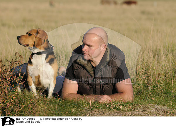 Mann und Beagle / man and Beagle / AP-06683