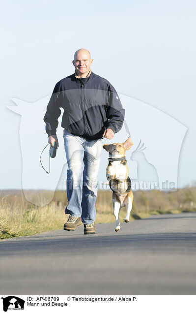Mann und Beagle / man and Beagle / AP-06709