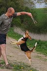 Mann spielt mit Beagle
