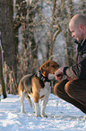 Mann und Beagle