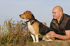 Mann und Beagle