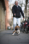 Mann mit Beagle