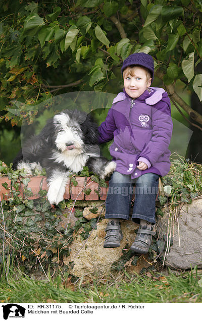 Mdchen mit Bearded Collie / girl with Bearded Collie / RR-31175