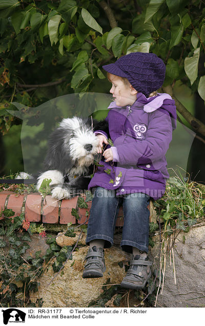 Mdchen mit Bearded Collie / girl with Bearded Collie / RR-31177