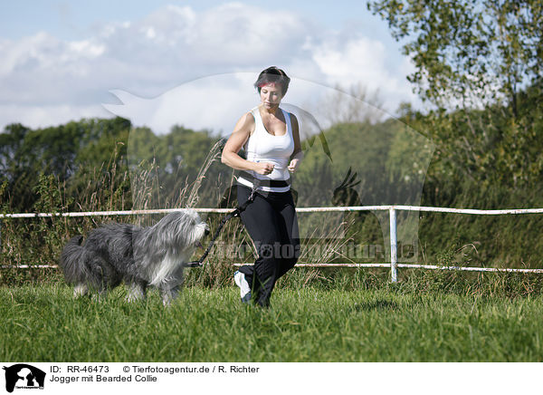 Jogger mit Bearded Collie / Jogger with Bearded Collie / RR-46473