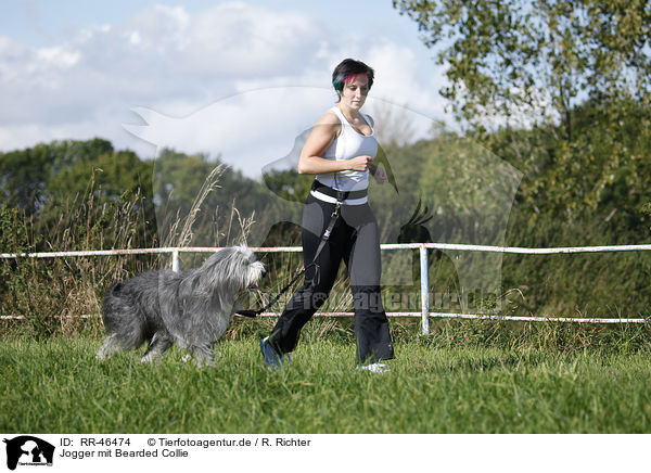 Jogger mit Bearded Collie / Jogger with Bearded Collie / RR-46474