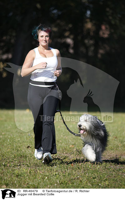 Jogger mit Bearded Collie / Jogger with Bearded Collie / RR-46479