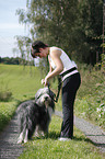 Jogger mit Bearded Collie