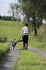 Jogger mit Bearded Collie