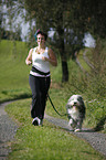 Jogger mit Bearded Collie